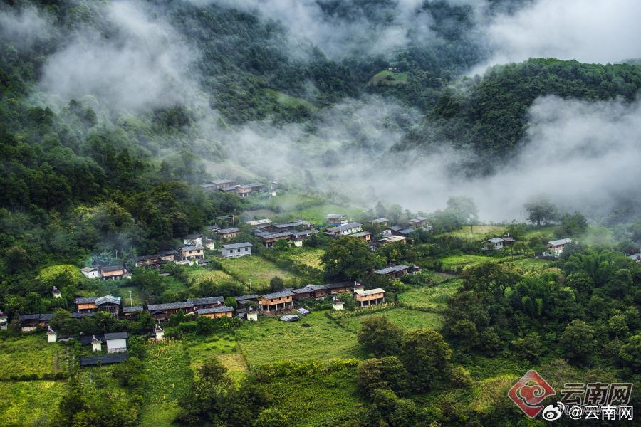 棉花坪瑶族乡天气预报更新通知