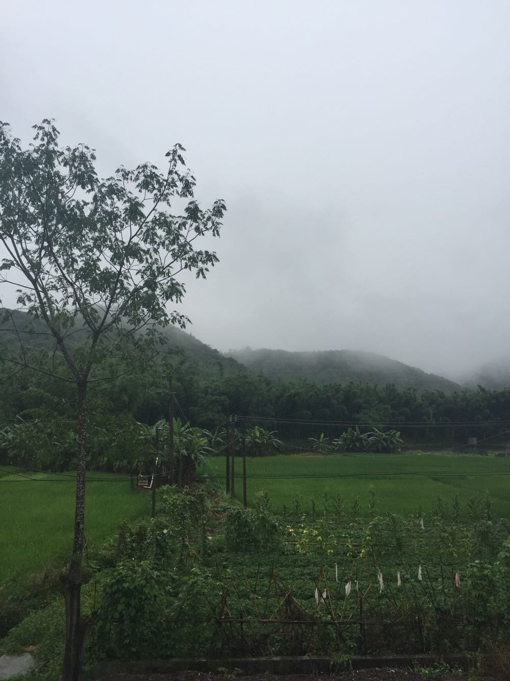 拉荣村今日天气预报