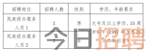 安宁市科技局及关联企业招聘启事概览