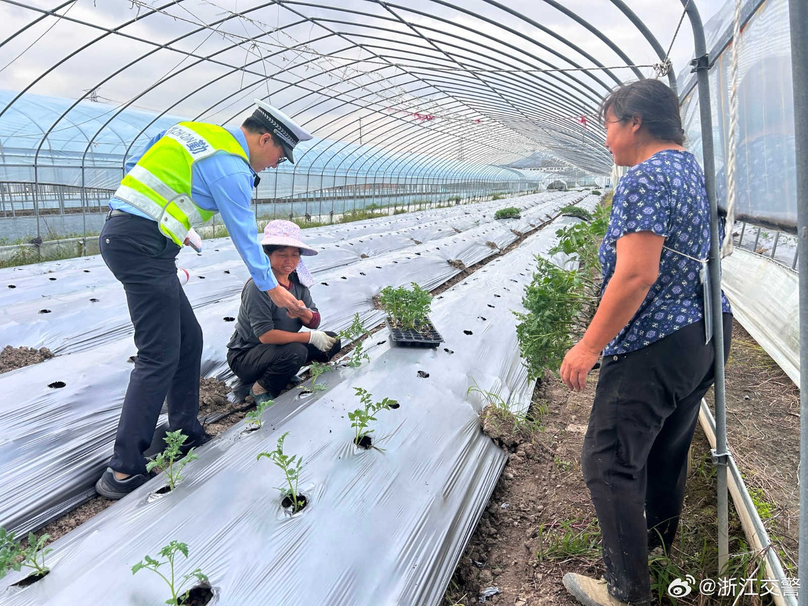 乐园良种场最新交通动态报道