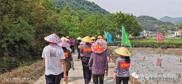 单龙寺乡领导团队引领地方发展迈向崭新高度