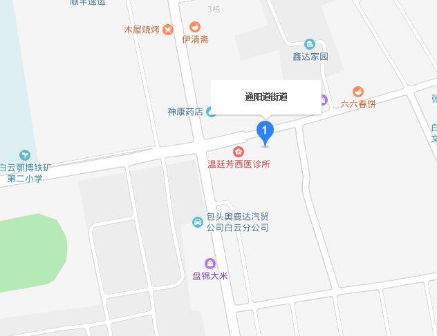 通阳道街道领导团队引领社区迈向新篇章