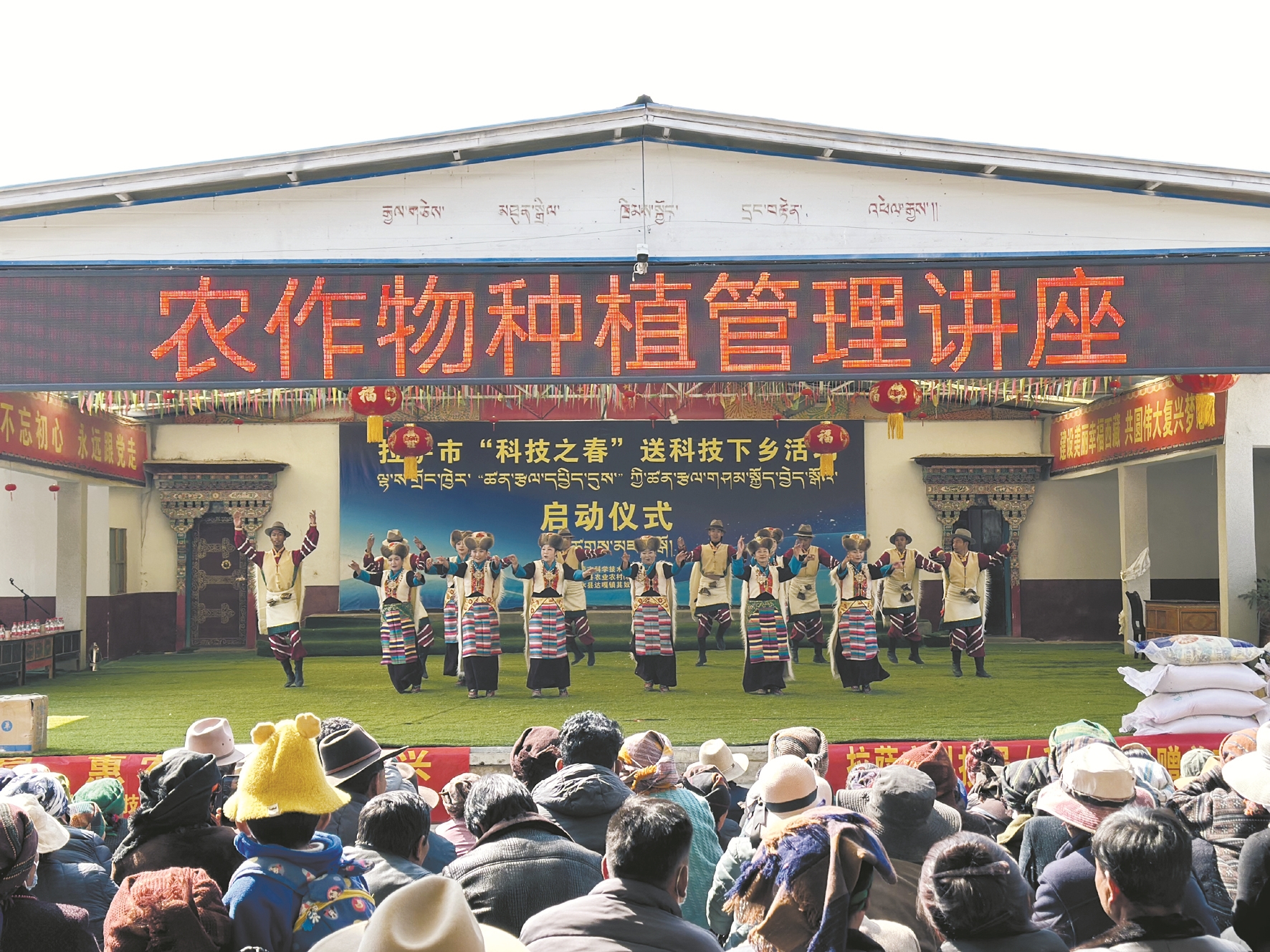 奴达村最新动态，发展与变迁报道