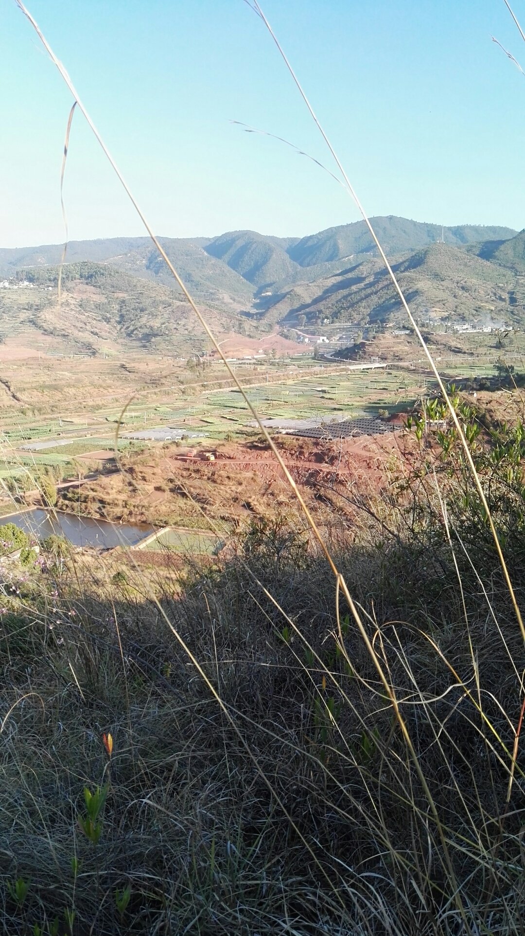 峨山镇天气预报更新通知