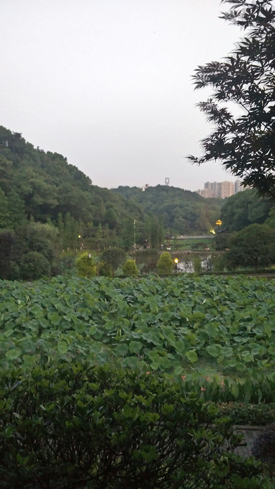 中梁山街道天气预报更新通知