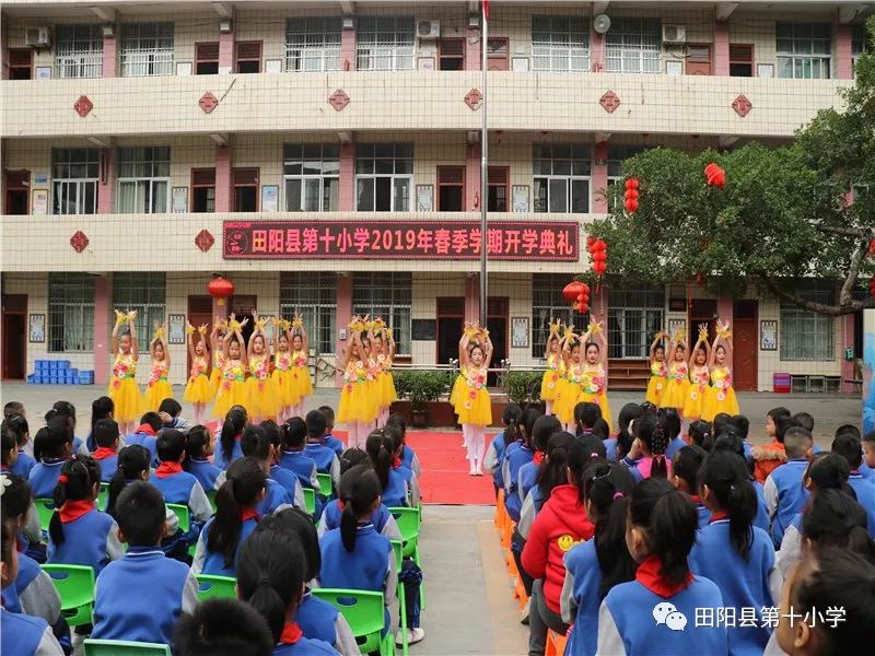 田阳县小学最新动态新闻速递