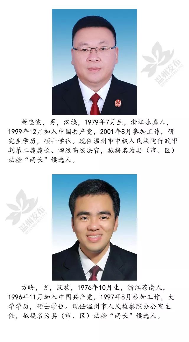 苍南县小学人事任命揭晓，开启教育发展新篇章