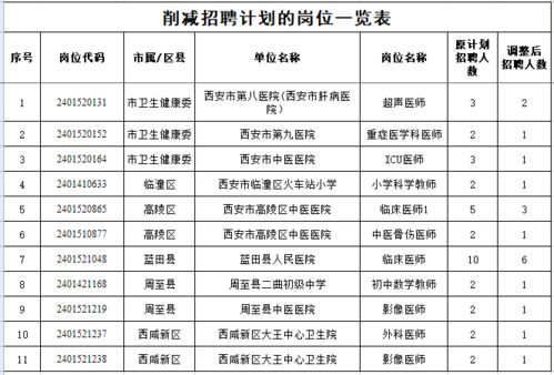 林州市级托养福利事业单位发展规划展望