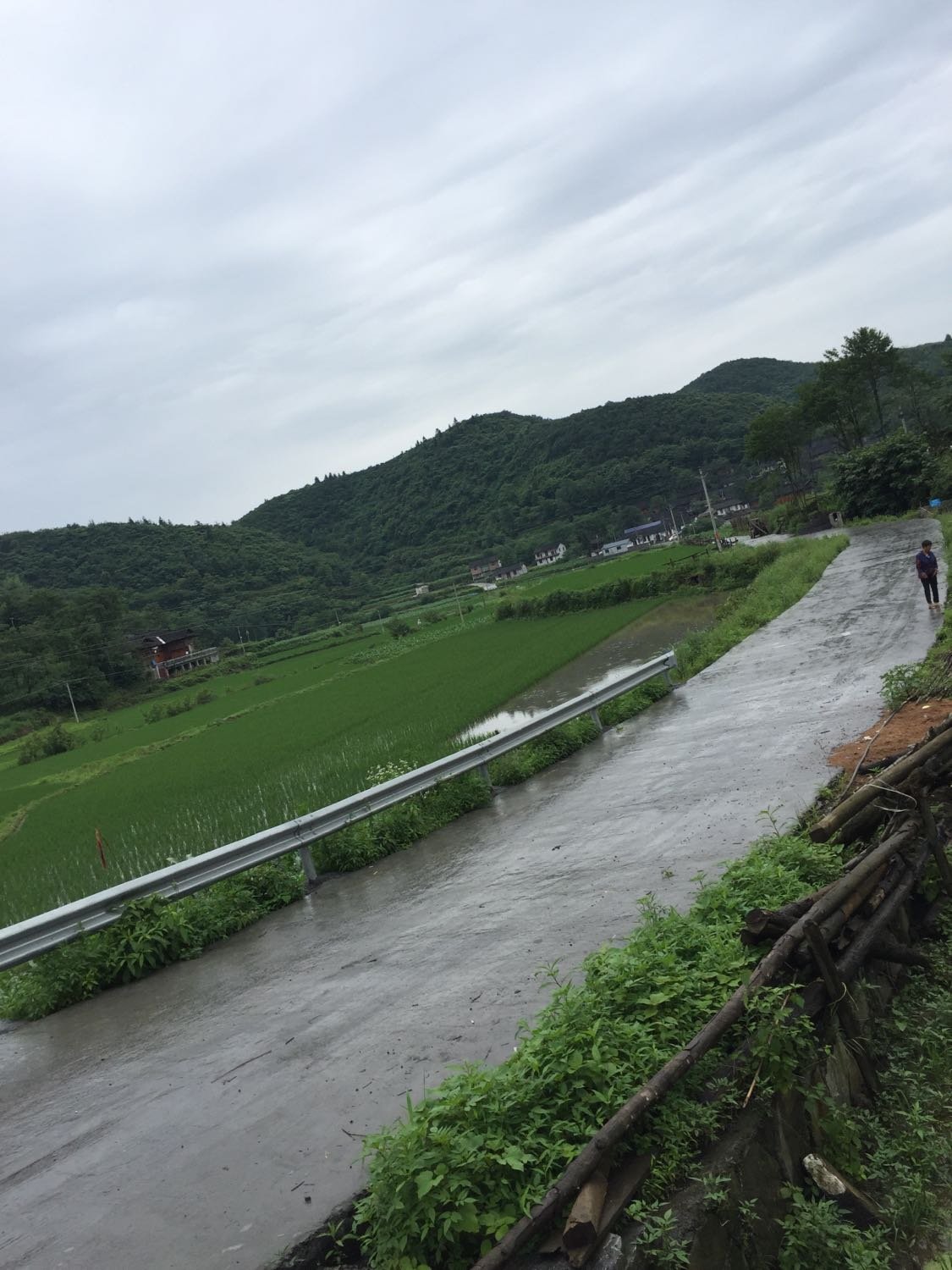 五蛟乡天气预报更新通知