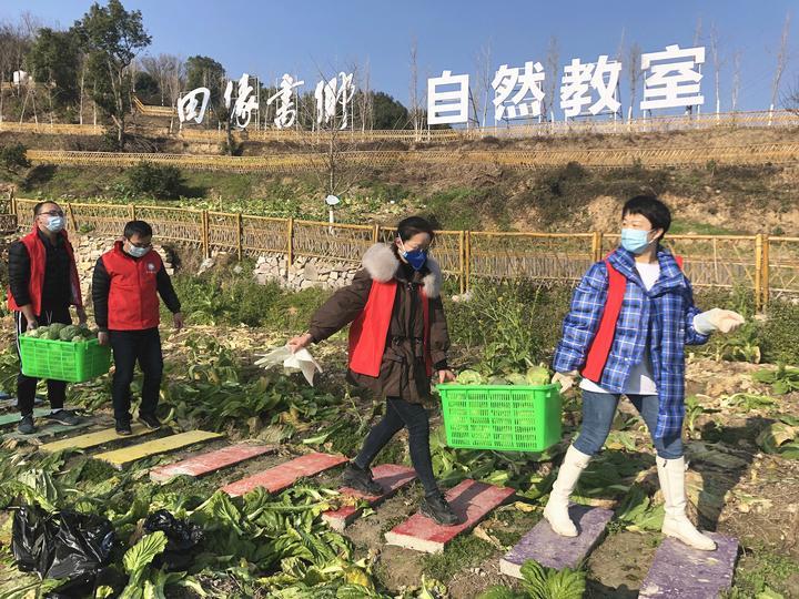 温岭市小学发展规划概览，未来教育蓝图揭晓