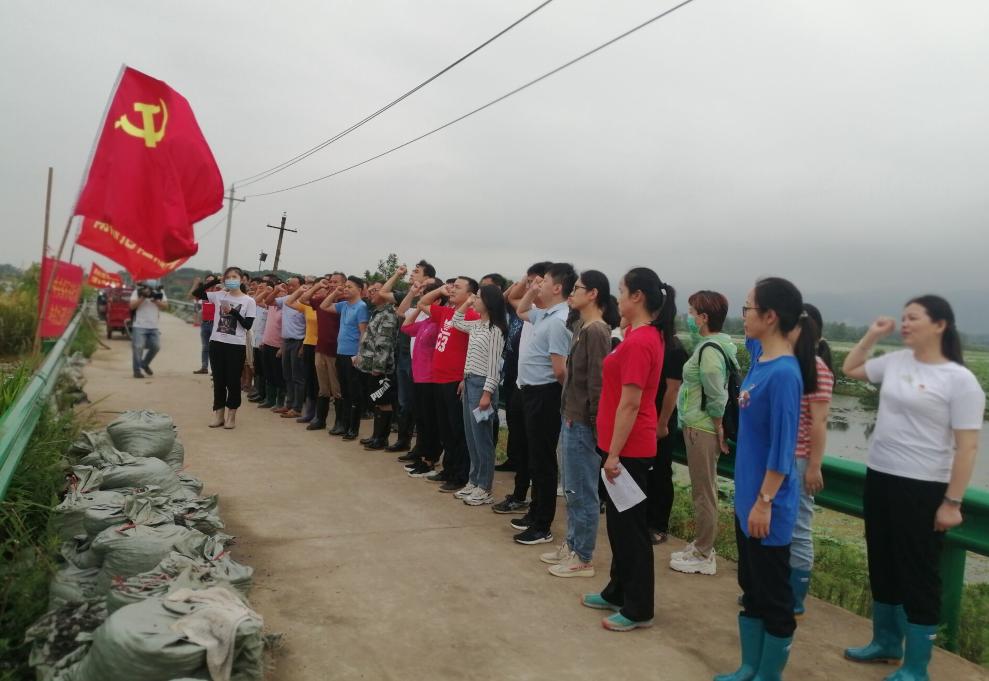 铁山区统计局发展规划，构建现代化统计体系，促进区域高质量发展