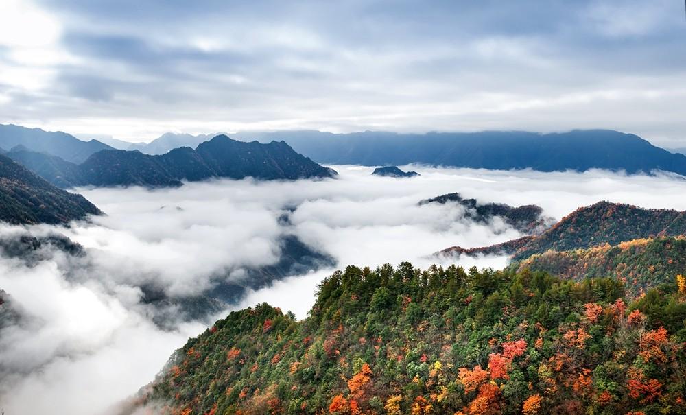 群峰乡新领导引领开启发展新篇章