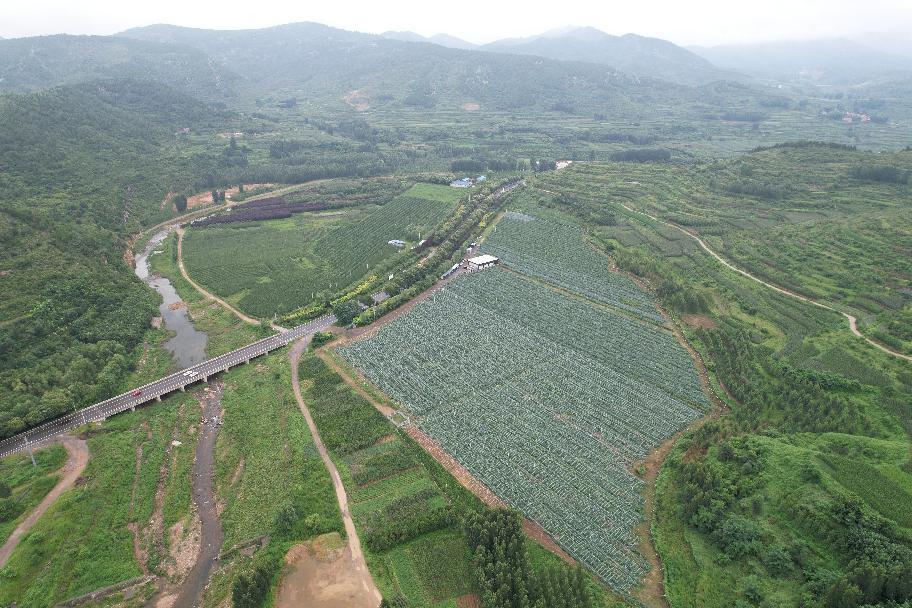 博山镇全新发展规划揭秘