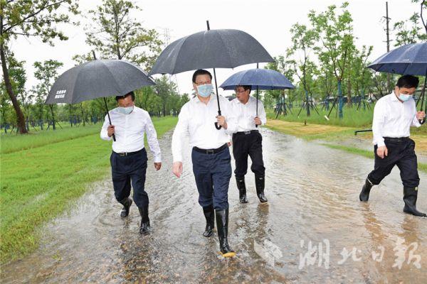 东流镇天气预报更新通知